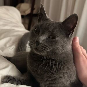 Meet your Posher, Bristol